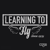 Rock & Roll | Learning to Fly